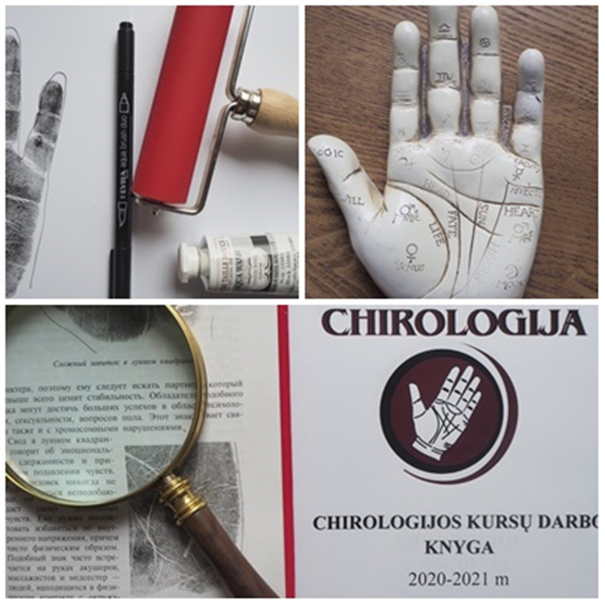 NUOTOLINIAI Chirologijos kursai (bazinis) - Mokslas
